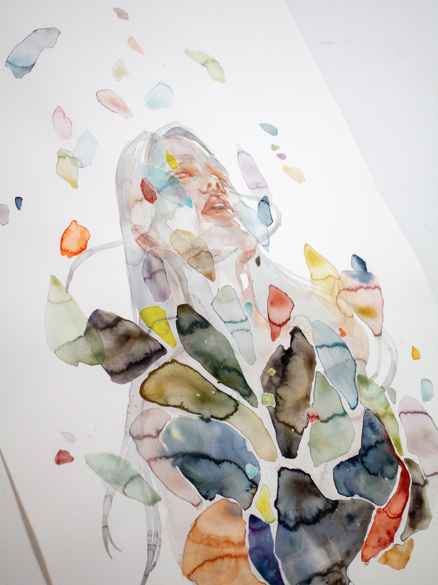 Shattered shell (56x77 cm) 2023