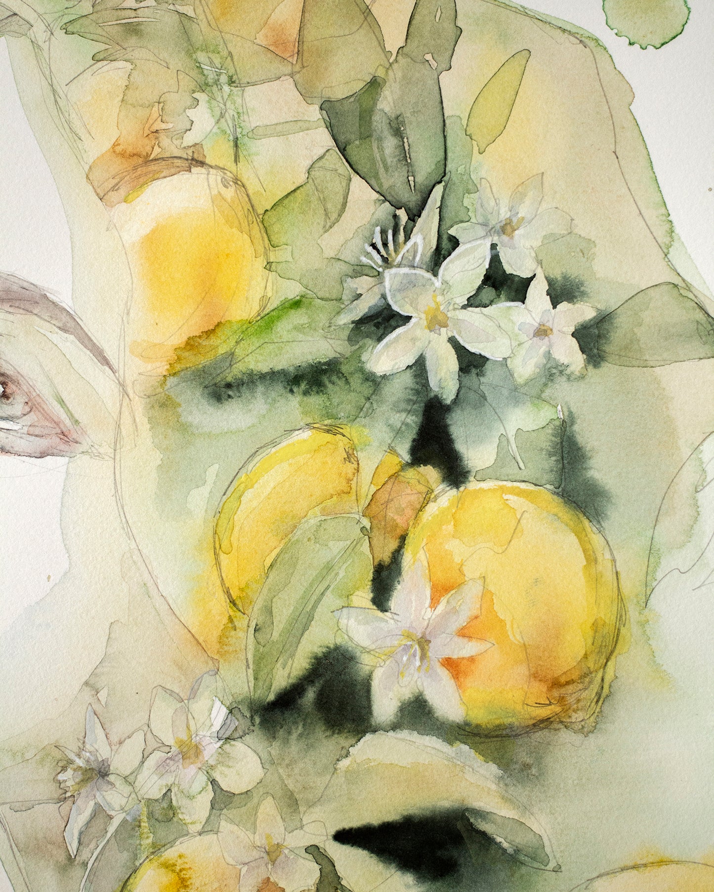 Summer sun (30x40 cm) 2025