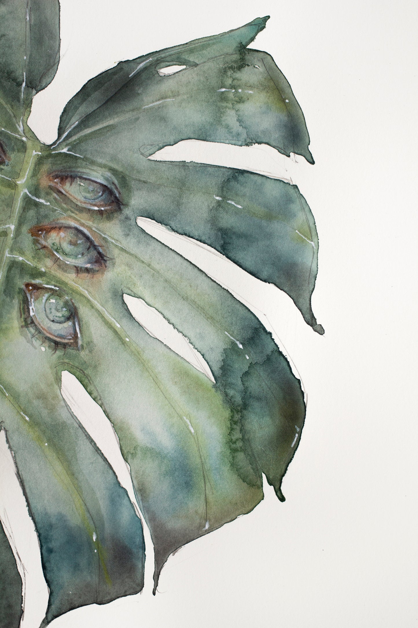 The silent observer (31x41 cm) 2024