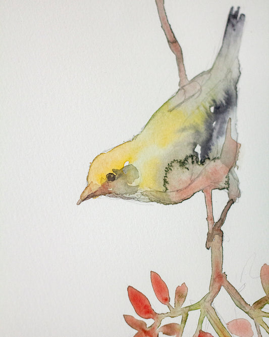Bird on branch study (18x25 cm) 2025