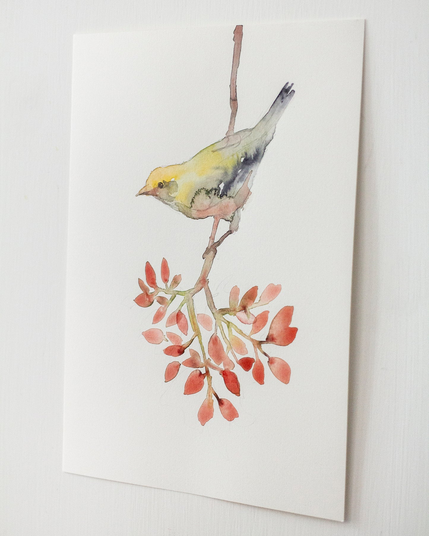 Bird on branch study (18x25 cm) 2025