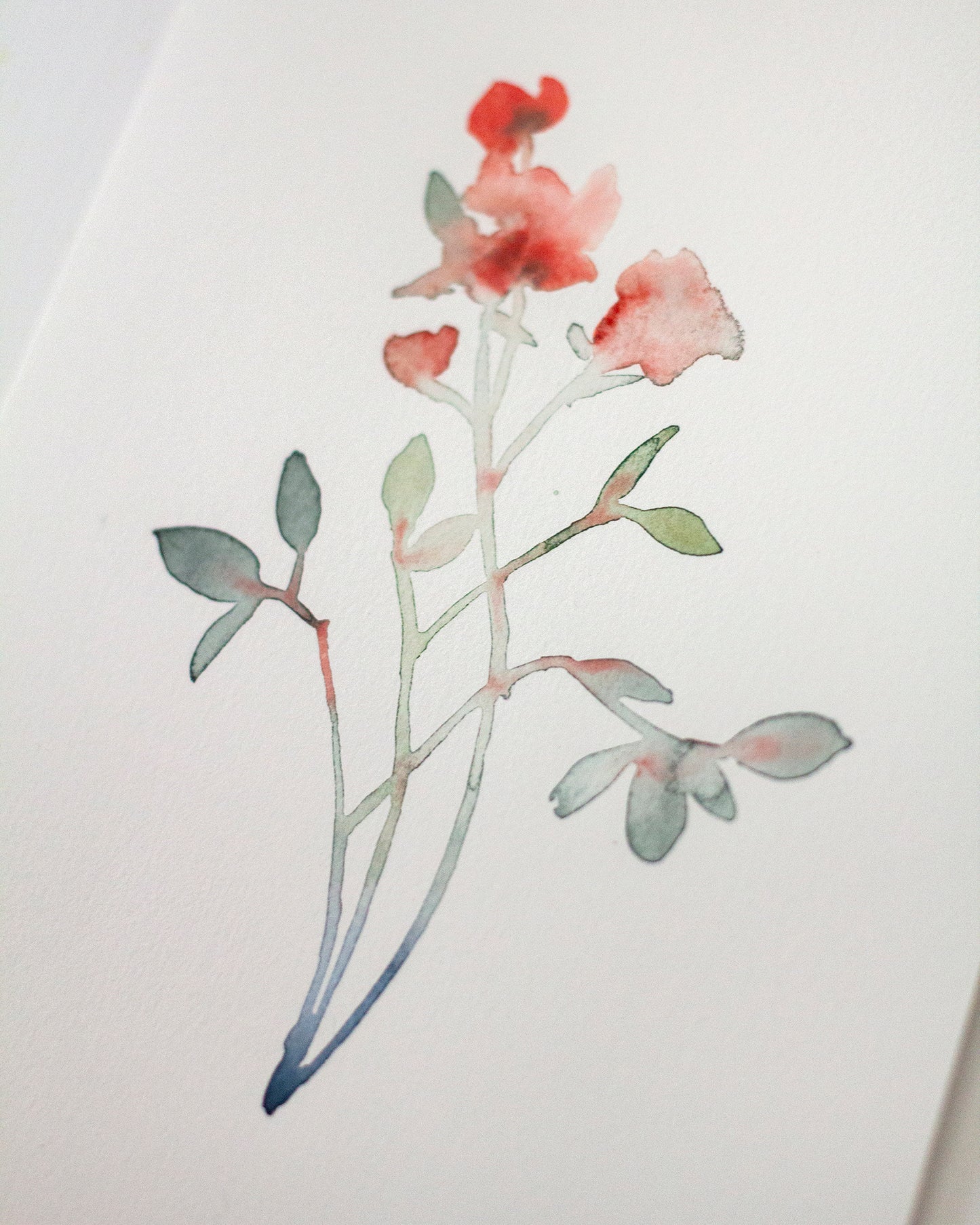 Red flower study (15x23 cm) 2025