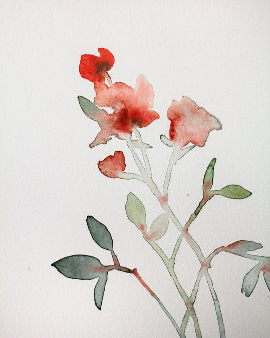 Red flower study (15x23 cm) 2025