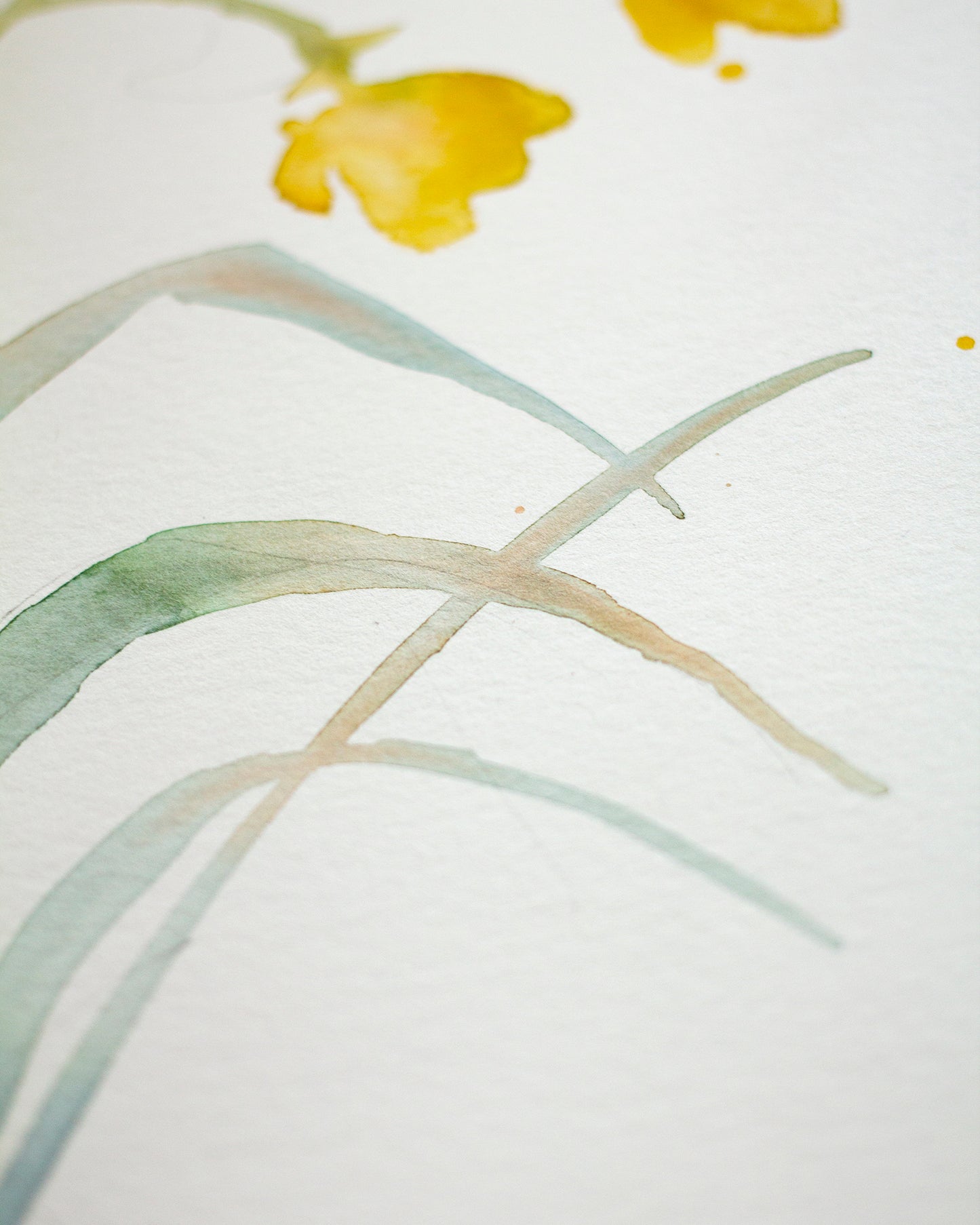 Yellow flower study (18x25 cm) 2025