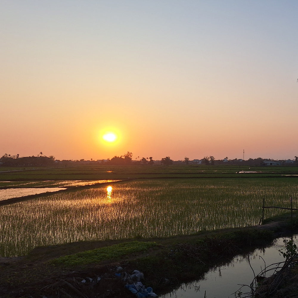 Retreat in Vietnam