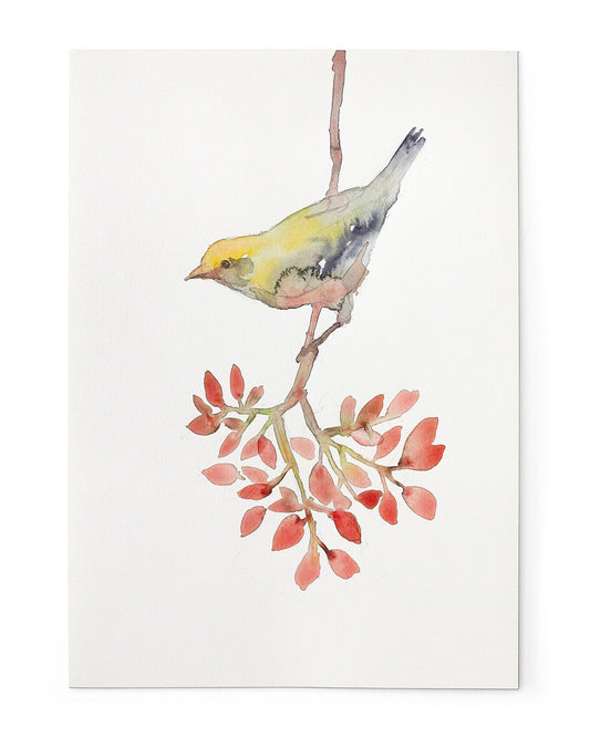 Bird on branch study (18x25 cm) 2025