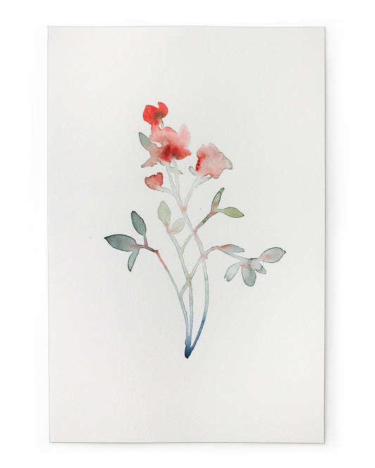 Red flower study (15x23 cm) 2025