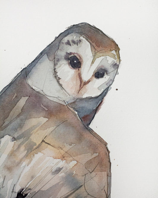 Owl study (20x30 cm) 2026