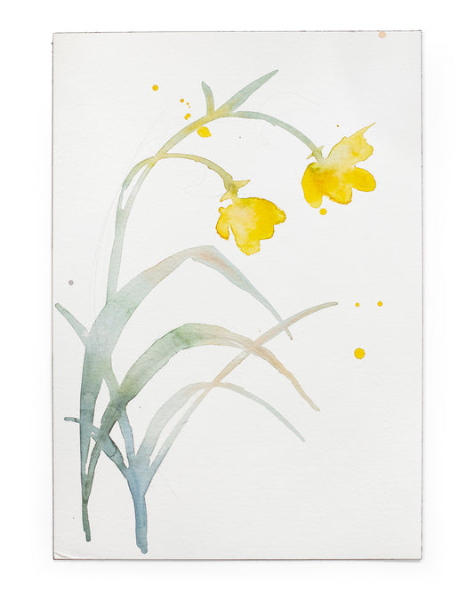 Yellow flower study (18x25 cm) 2025