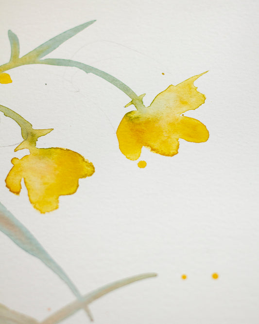 Yellow flower study (18x25 cm) 2025