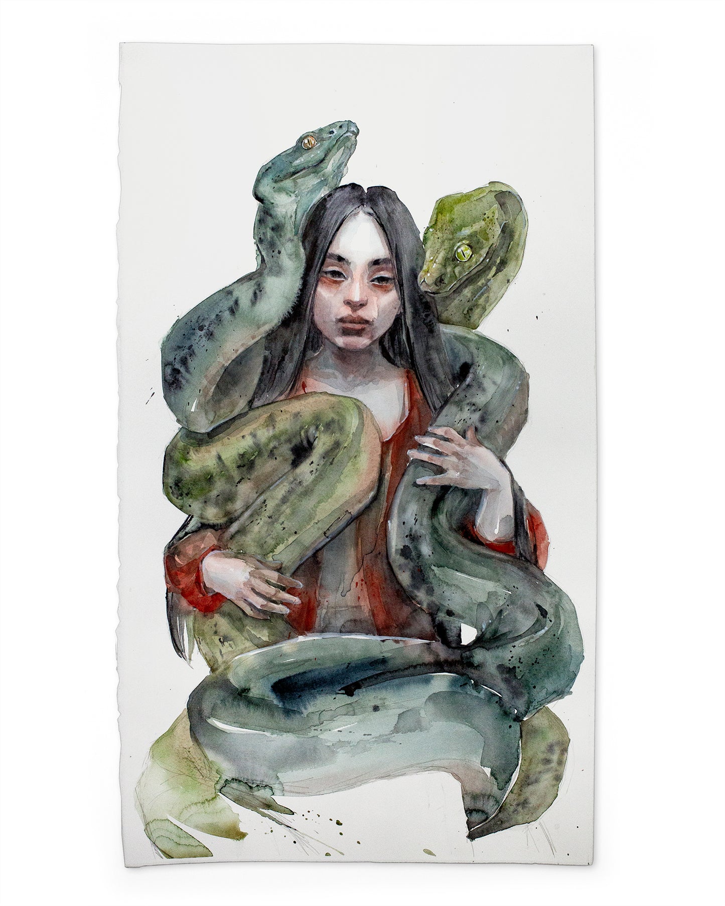 The year of the snake (40x71 cm) 2025
