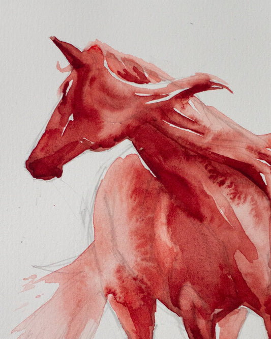 Fire horse study (18x25 cm) 2026