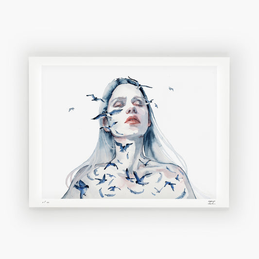 Sorvolare