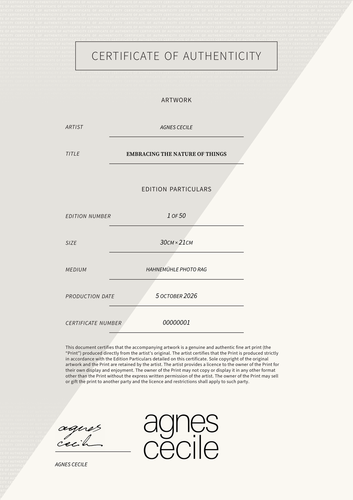 Embracing the Nature of Things — Certificate of Authenticity