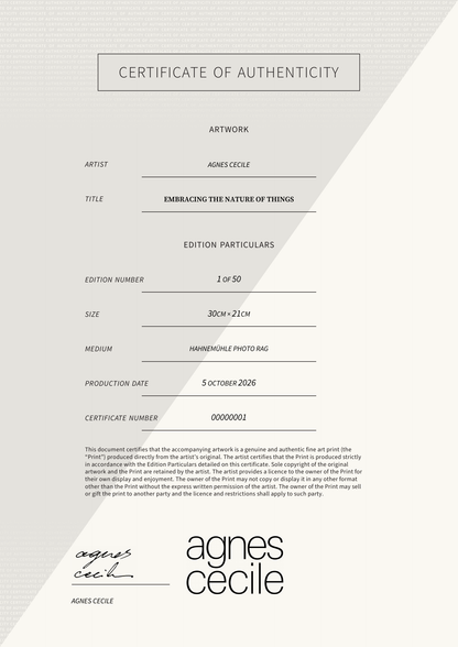 Embracing the Nature of Things — Certificate of Authenticity